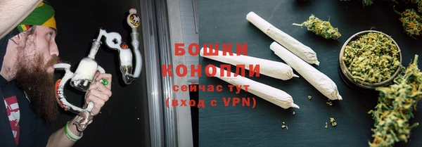сатива Беломорск