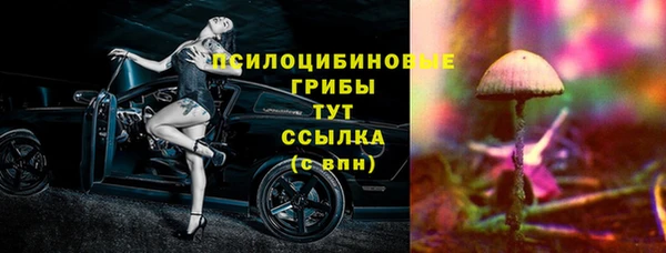 сатива Беломорск