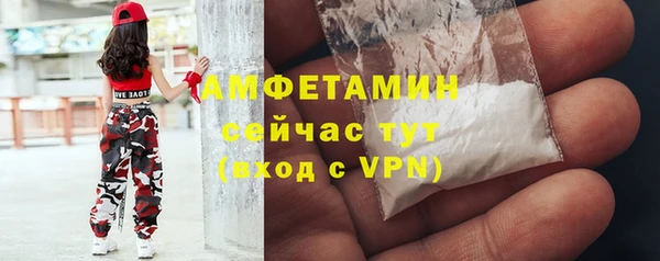 сатива Беломорск