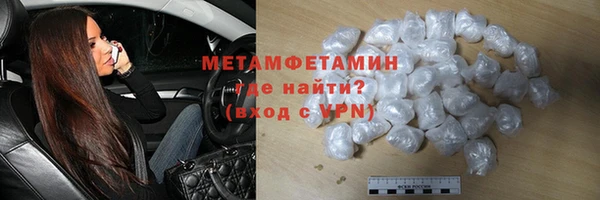сатива Беломорск