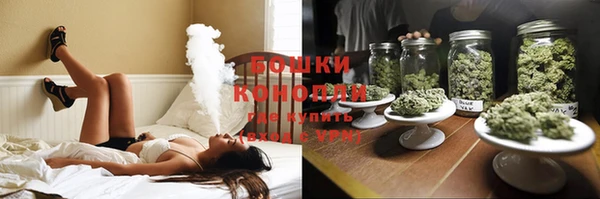 молекула духа Белоозёрский