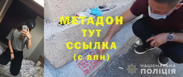 сатива Беломорск