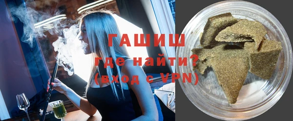 сатива Беломорск