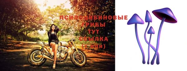 молекула духа Белоозёрский