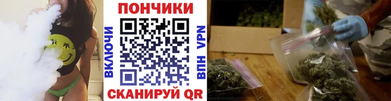 Канабис SATIVA & INDICA  МЕГА вход  Жердевка 